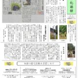 沙漠緑化通信第47号